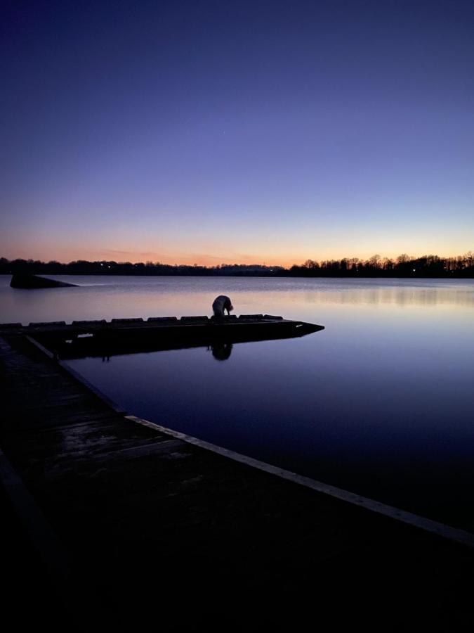 Gites De L'Etang Des Noues 绍莱 外观 照片
