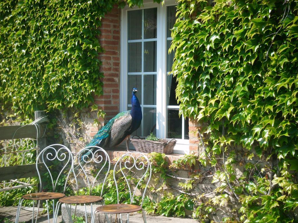 Gites De L'Etang Des Noues 绍莱 外观 照片